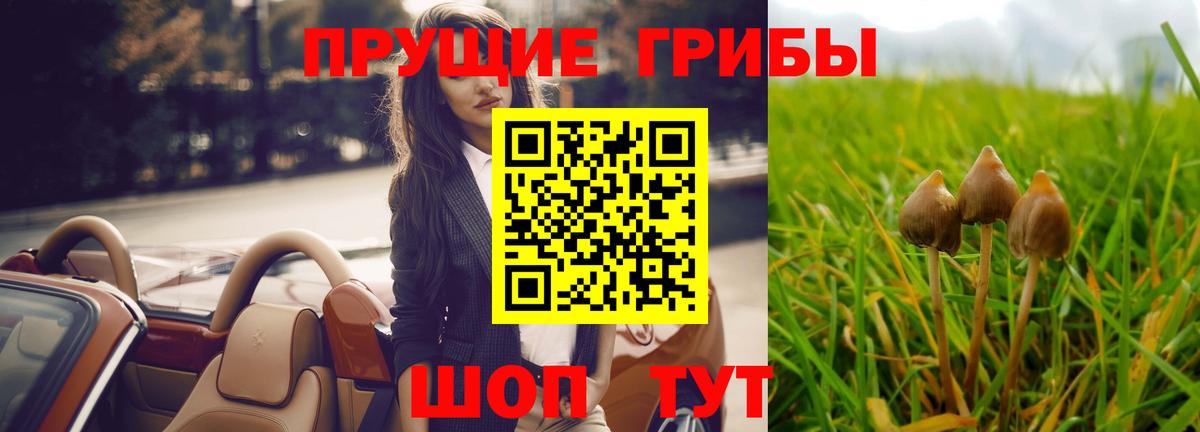 Жигулёвск  Галлюциногенные грибы MAGIC MUSHROOMS  Вход с VPN  Галлюциногенные грибы MAGIC MUSHROOMS 